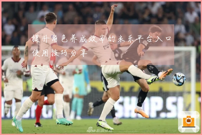 提升角色养成效率的米乐平台入口使用技巧分享