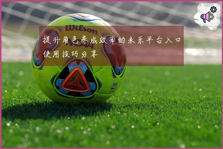 提升角色养成效率的米乐平台入口使用技巧分享
