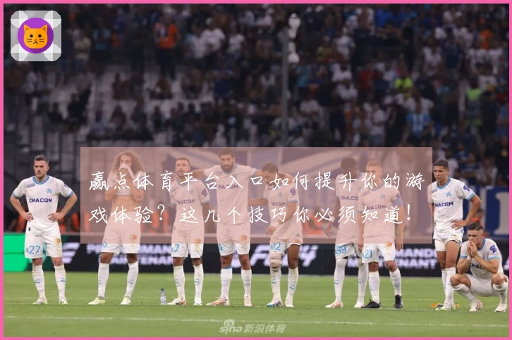赢点体育平台入口如何提升你的游戏体验？这几个技巧你必须知道！